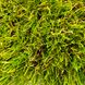 Штучна трава Congrass Jakаrta 40