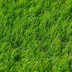 Штучна трава Congrass Sri Lanka 20